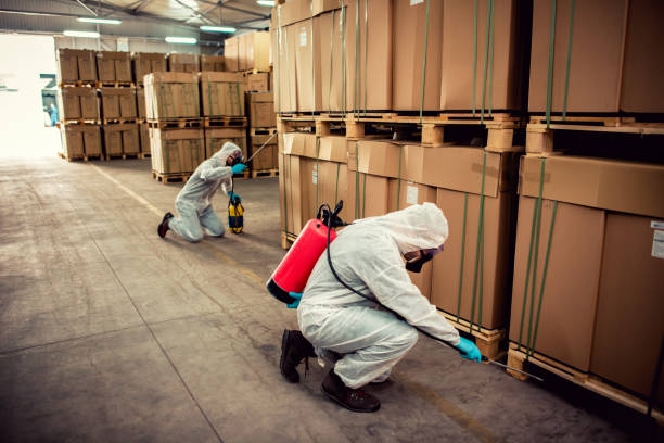 Best Pest Removal Services  in Walnut Grove, CA