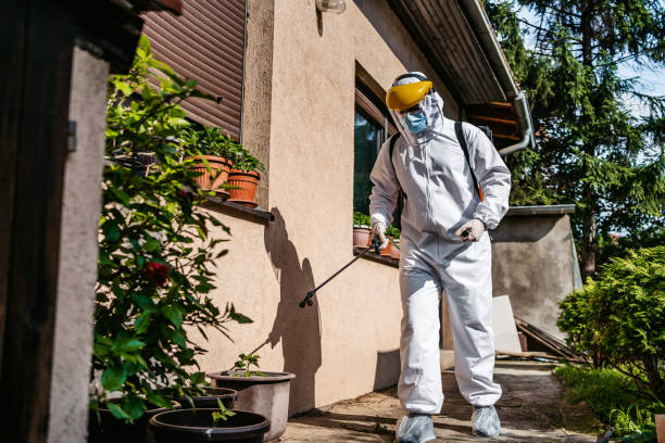 Best Termite Control Services  in Walnut Grove, CA
