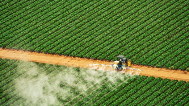 Best Pest Control Treatment  in Walnut Grove, CA