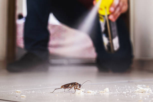 Best Pest Prevention Services  in Walnut Grove, CA
