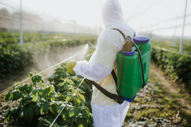 Best Best Pest Control Companies  in Walnut Grove, CA